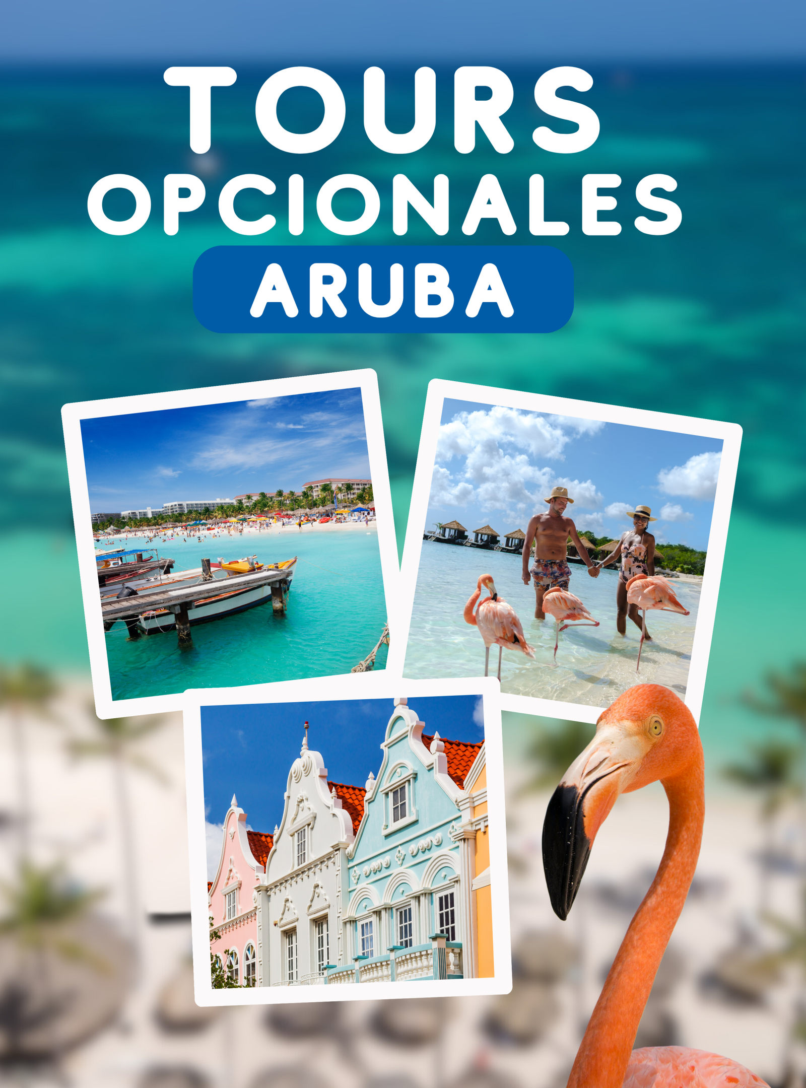 Aruba foto 7