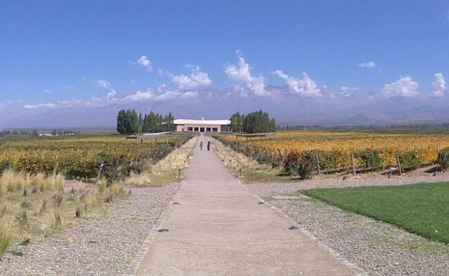 Mendoza