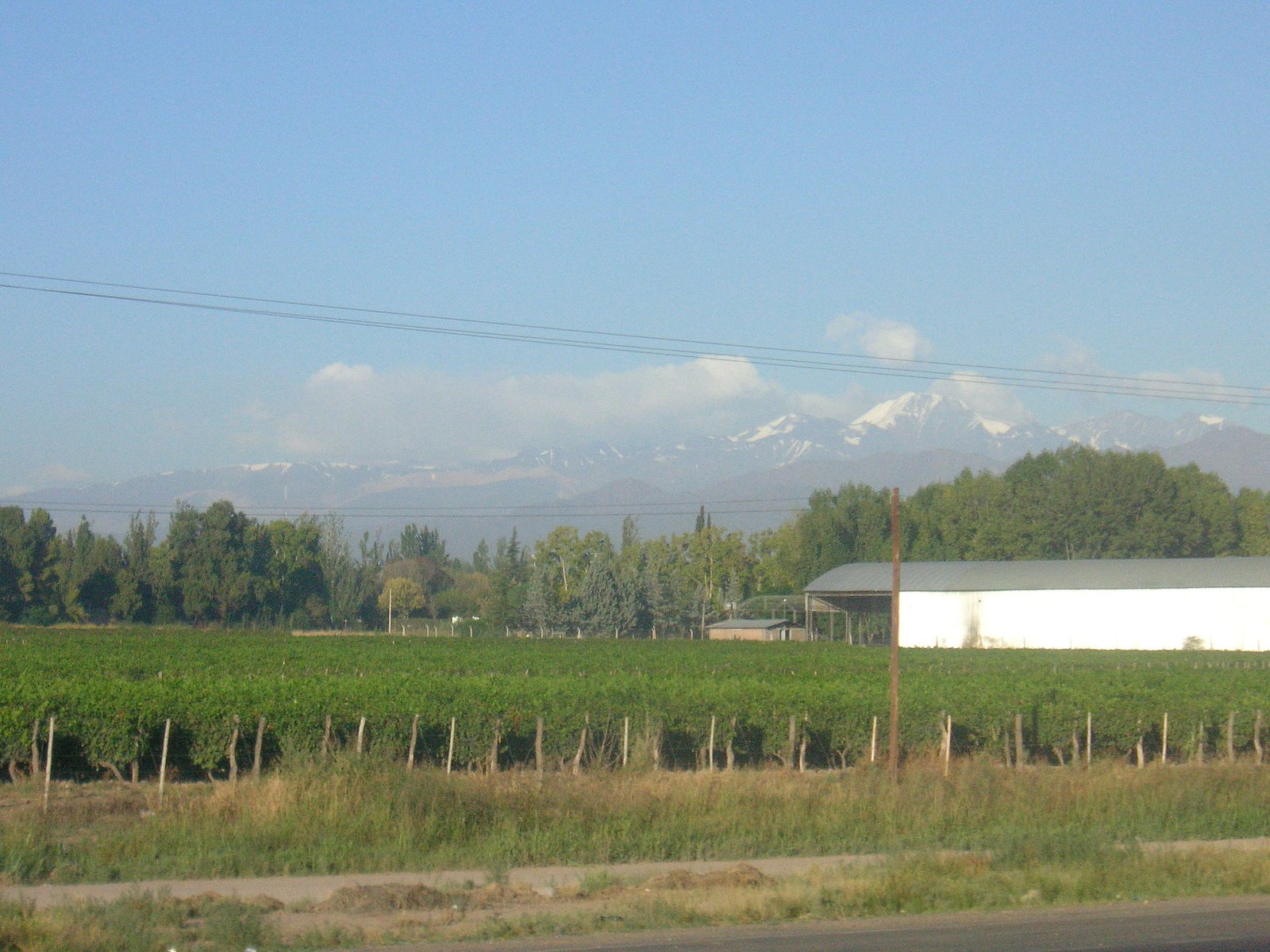 Argentina foto 6
