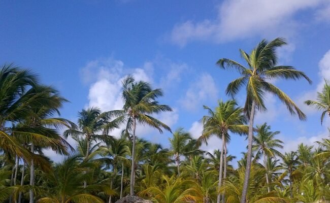 Punta Cana
